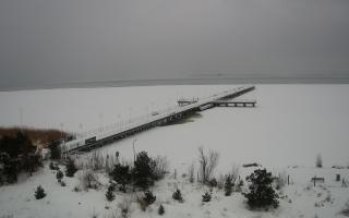 Jurata Molo - 18-02-2026 13:14