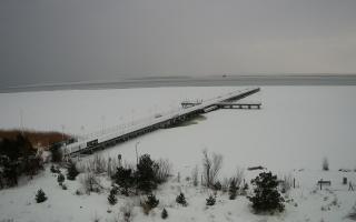 Jurata Molo - 18-02-2026 13:41