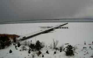 Jurata Molo - 19-02-2026 13:22