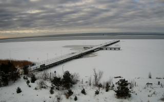 Jurata Molo - 20-02-2026 08:21