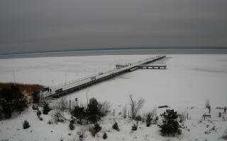 Jurata Molo - 21-02-2026 12:01