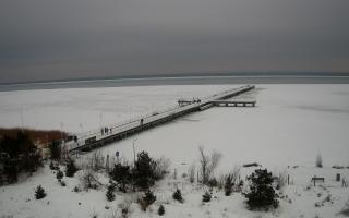 Jurata Molo - 21-02-2026 12:12