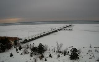 Jurata Molo - 21-02-2026 12:22