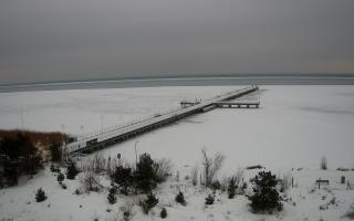 Jurata Molo - 21-02-2026 12:38