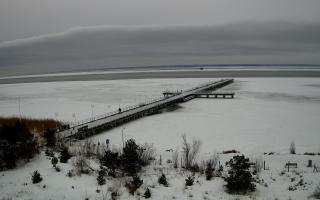 Jurata Molo - 22-02-2026 10:19