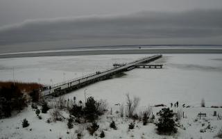 Jurata Molo - 22-02-2026 10:24