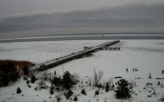 Jurata Molo - 22-02-2026 10:29