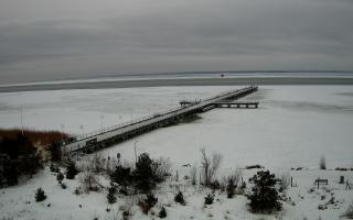 Jurata Molo - 22-02-2026 10:40