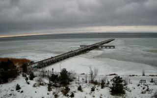 Jurata Molo - 24-02-2026 11:50