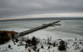 Jurata Molo - 24-02-2026 12:01