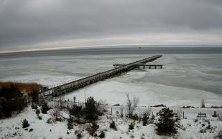 Jurata Molo - 24-02-2026 12:07