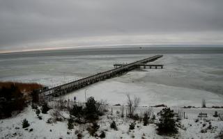 Jurata Molo - 24-02-2026 12:12