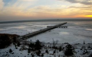 Jurata Molo - 26-02-2026 15:46