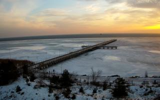 Jurata Molo - 26-02-2026 15:52