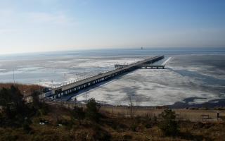 Jurata Molo - 07-03-2026 09:27