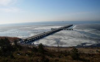 Jurata Molo - 07-03-2026 09:43