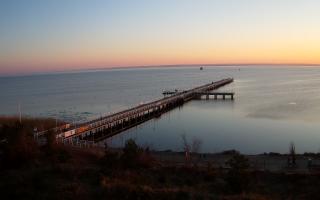 Jurata Molo - 21-03-2026 16:51