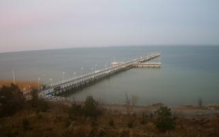 Jurata Molo - 13-04-2026 03:32