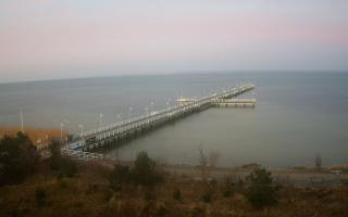 Jurata Molo - 13-04-2026 03:42