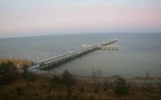 Jurata Molo - 13-04-2026 03:48