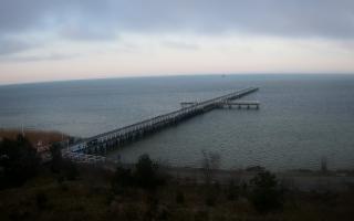 Jurata Molo - 17-04-2026 04:33