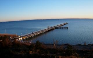 Jurata Molo - 28-04-2026 17:47