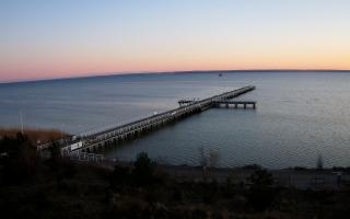 Jurata Molo - 28-04-2026 18:09