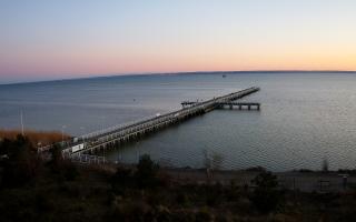 Jurata Molo - 28-04-2026 18:19