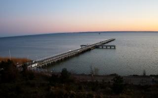 Jurata Molo - 28-04-2026 18:25