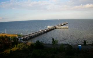 Jurata Molo - 08-06-2026 03:49