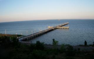 Jurata Molo - 29-06-2026 03:14