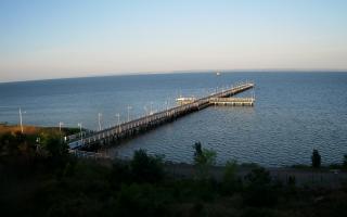 Jurata Molo - 29-06-2026 03:24