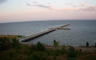 Jurata Molo - 06-07-2026 02:34