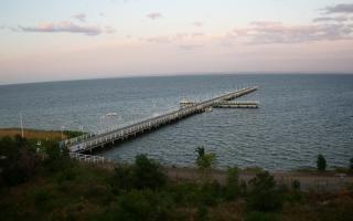 Jurata Molo - 06-07-2026 02:40