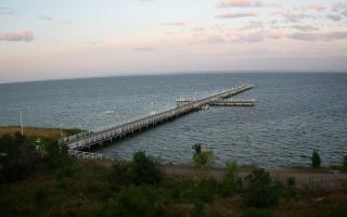 Jurata Molo - 06-07-2026 02:45