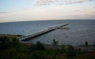 Jurata Molo - 06-07-2026 03:12