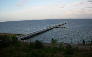 Jurata Molo - 06-07-2026 03:23