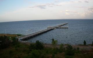 Jurata Molo - 06-07-2026 03:28