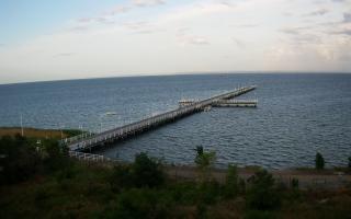 Jurata Molo - 06-07-2026 03:33