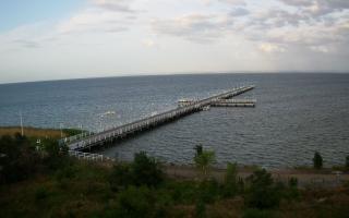Jurata Molo - 06-07-2026 03:44