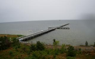 Jurata Molo - 07-07-2026 04:12