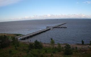 Jurata Molo - 08-07-2026 05:54