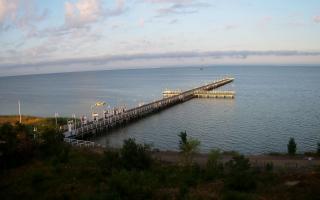 Jurata Molo - 15-07-2026 03:34