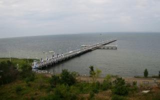 Jurata Molo - 26-07-2026 06:24