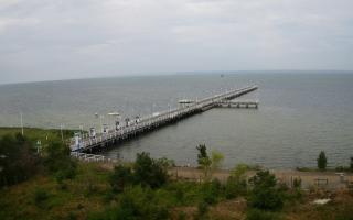 Jurata Molo - 26-07-2026 06:29