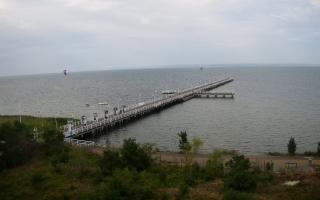 Jurata Molo - 26-07-2026 06:40