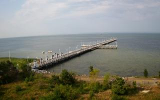 Jurata Molo - 31-07-2026 06:12