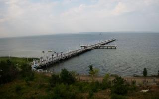 Jurata Molo - 31-07-2026 06:39