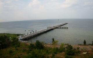 Jurata Molo - 31-07-2026 06:44