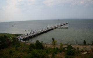 Jurata Molo - 31-07-2026 07:27